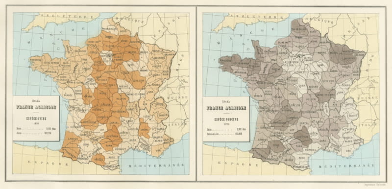 Antique Maps of France, Sheep and Pig Stock, Vienna Exposition, 1873