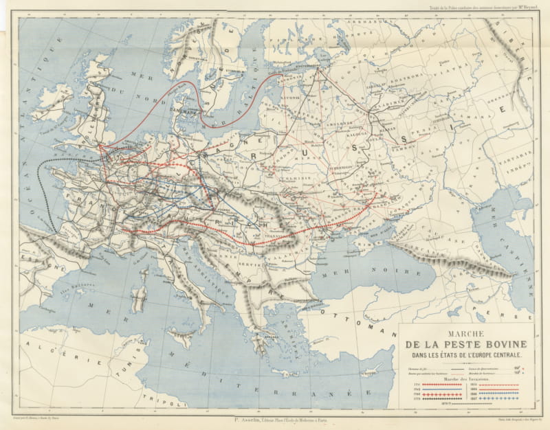 Antique Map of the Cattle Plague in Europe, Reynal, 1711 to 1871
