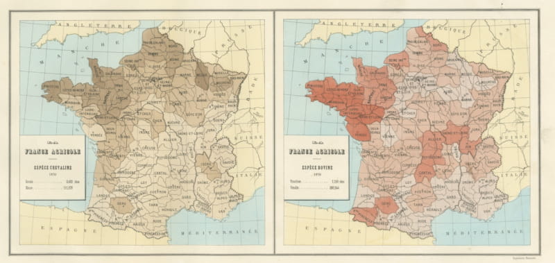 Antique Maps of France, Horse and Cattle Stock, Vienna Exposition, 1873