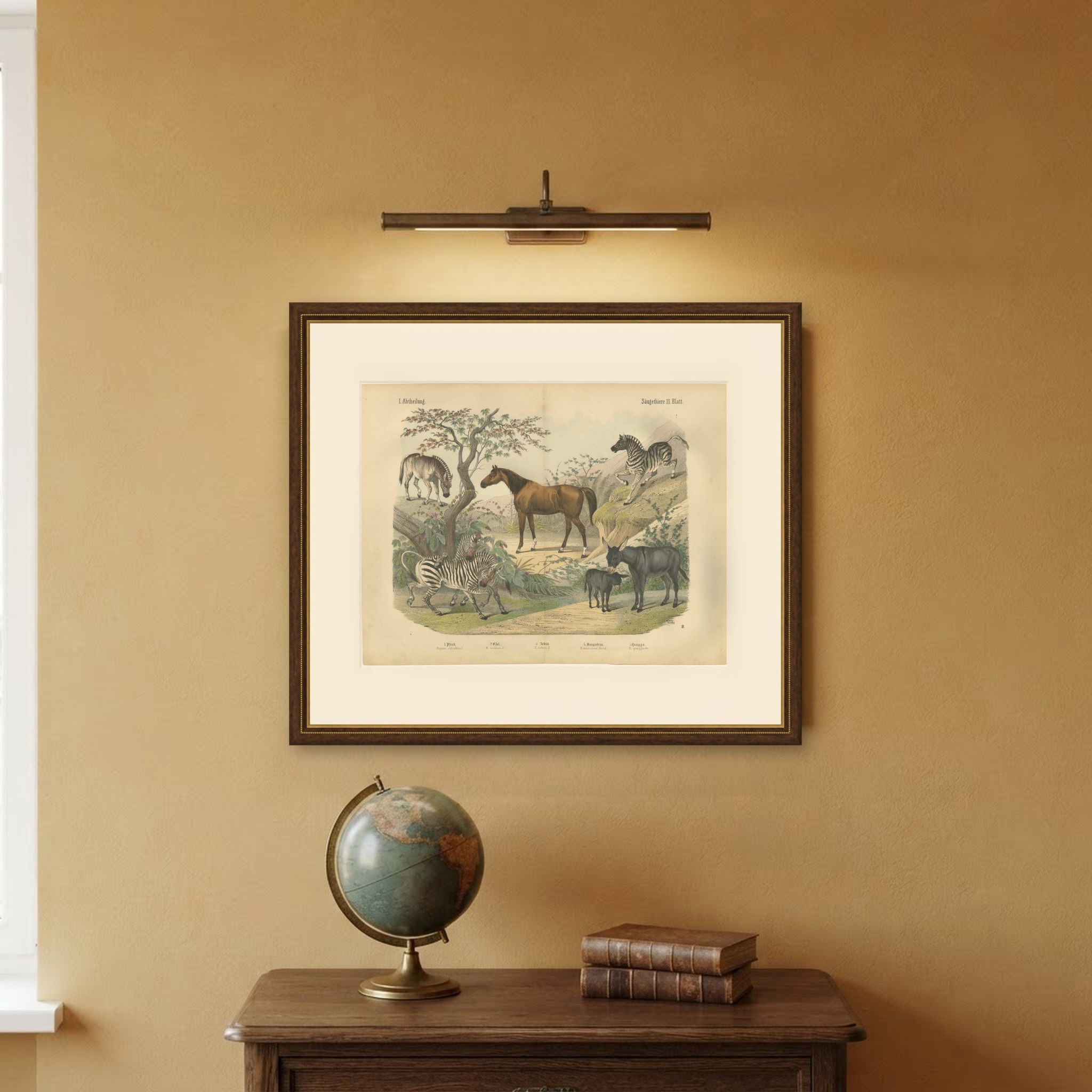 Antique Horse and Zebra Print with the Extinct Quagga, Kolb Mammals, circa 1890, view 10