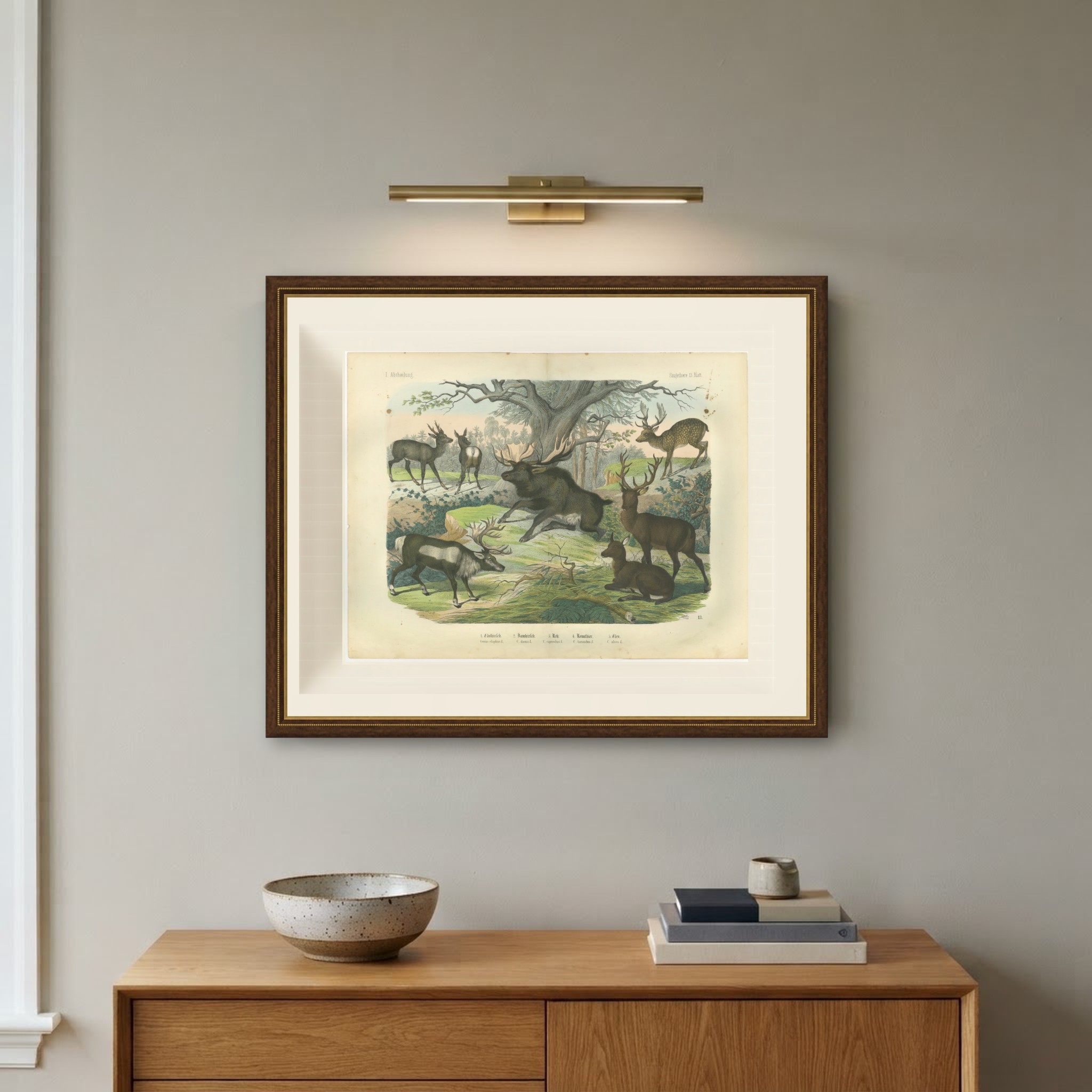 Antique Deer Print with Elk, Reindeer and Red Deer Stag, Kolb, circa 1890, view 10