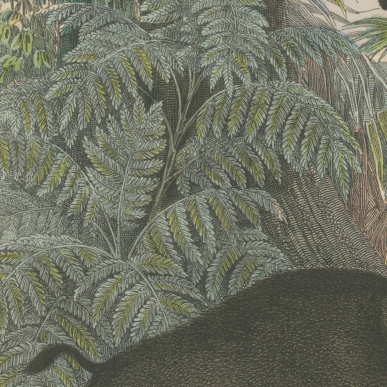 Antique Hippopotamus Print with Wild Boar and Babirusa, Kolb, circa 1890, view 8