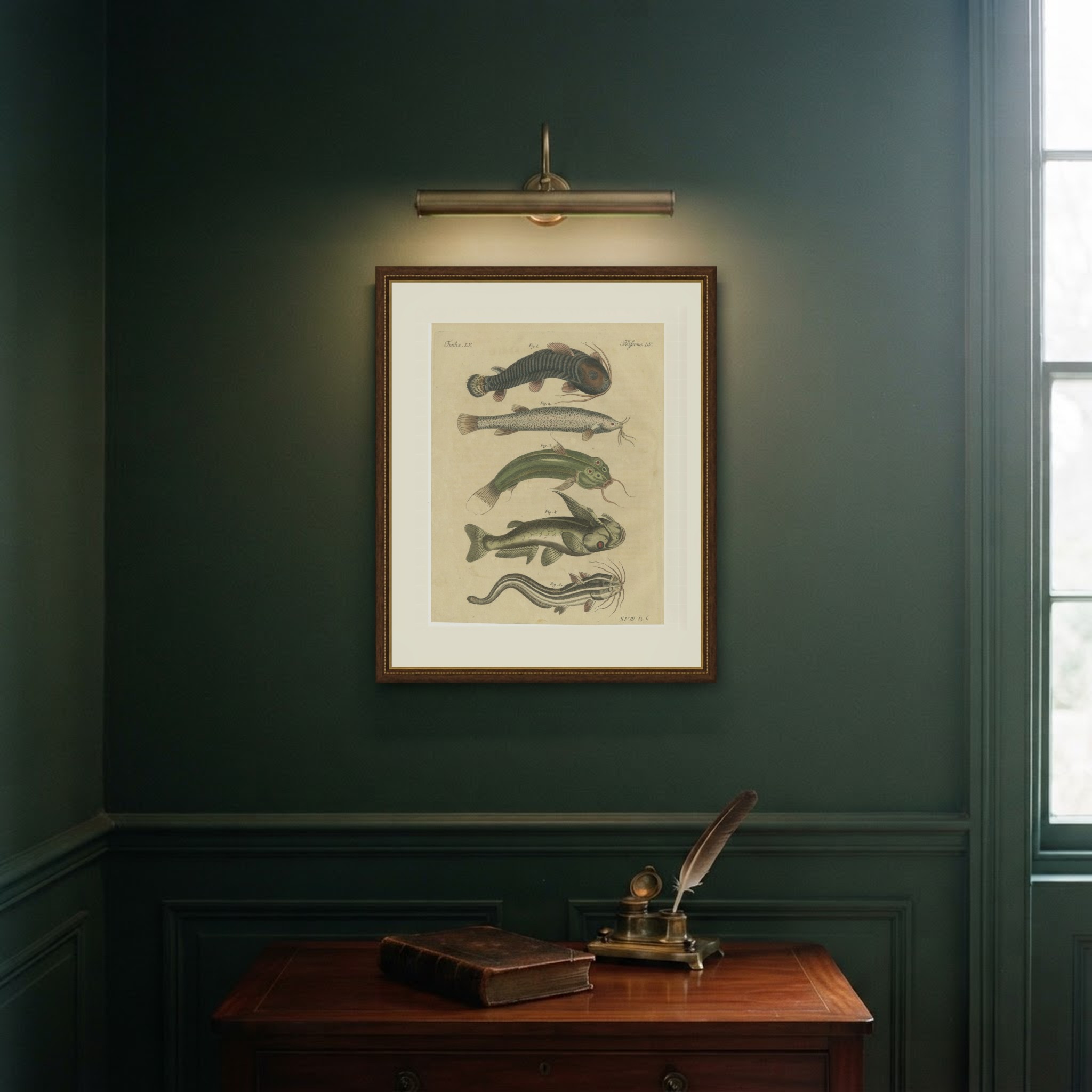 Five Catfish with Long Barbels, Antique Bertuch Print, circa 1815, view 11