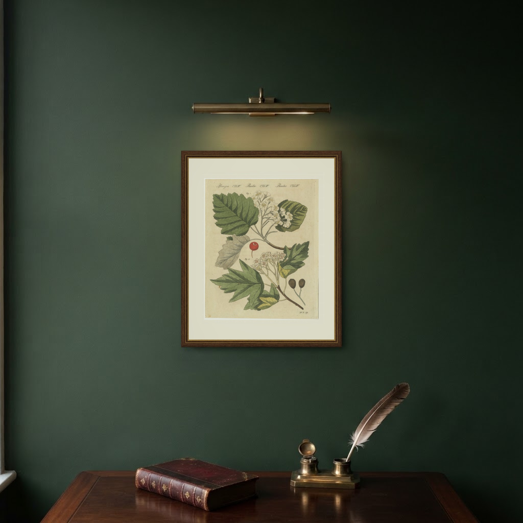 Whitebeam and Wild Service Tree in Blossom, Antique Bertuch Print, circa 1815, view 10