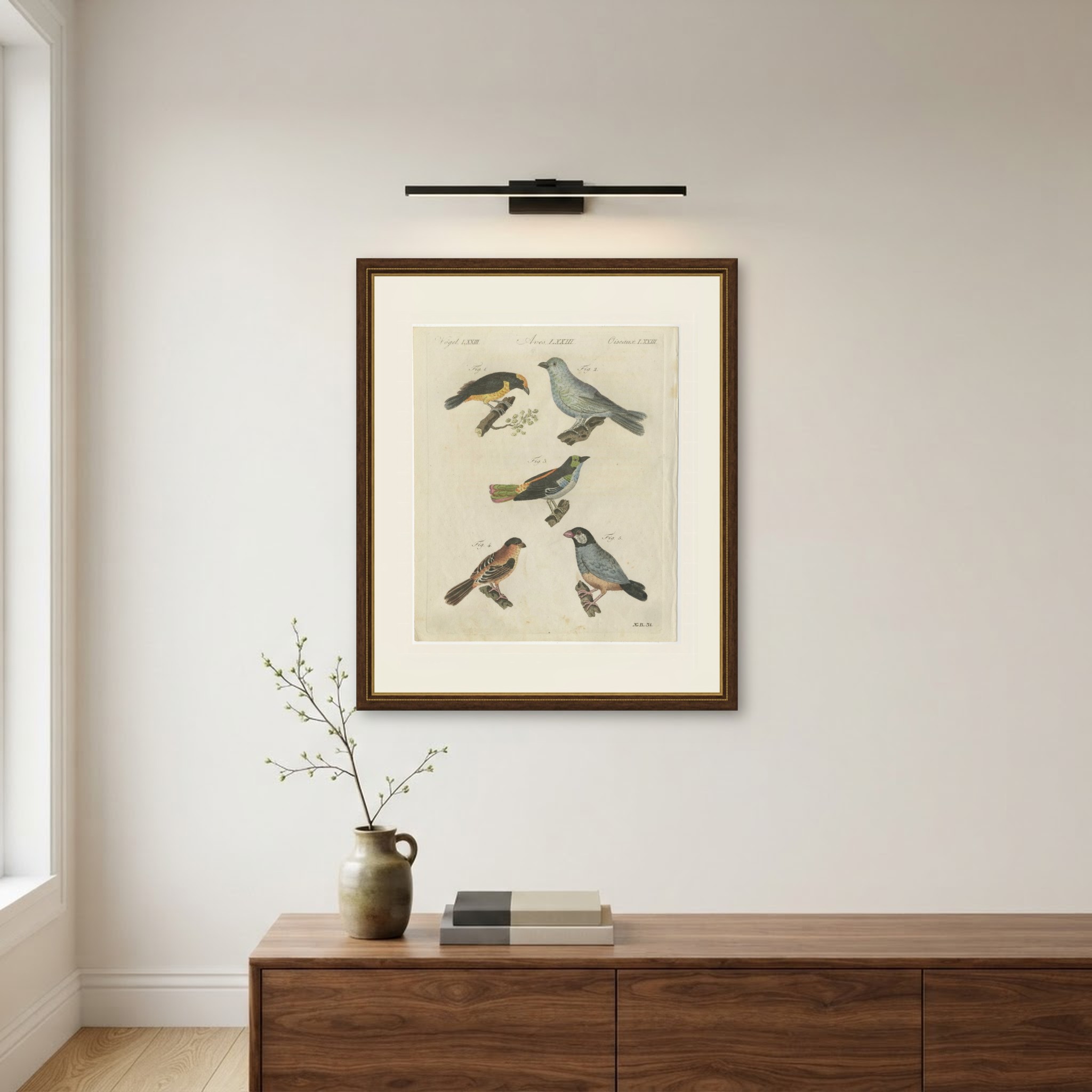 Tanagers and Java Sparrow Songbirds, Antique Bertuch Print, circa 1805, view 10