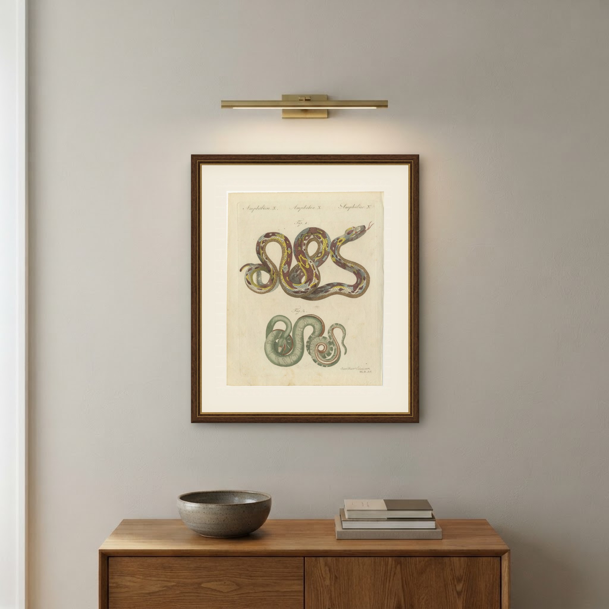 Two Patterned Snakes in Coils, Antique Bertuch Print, Vienna, circa 1805, view 10