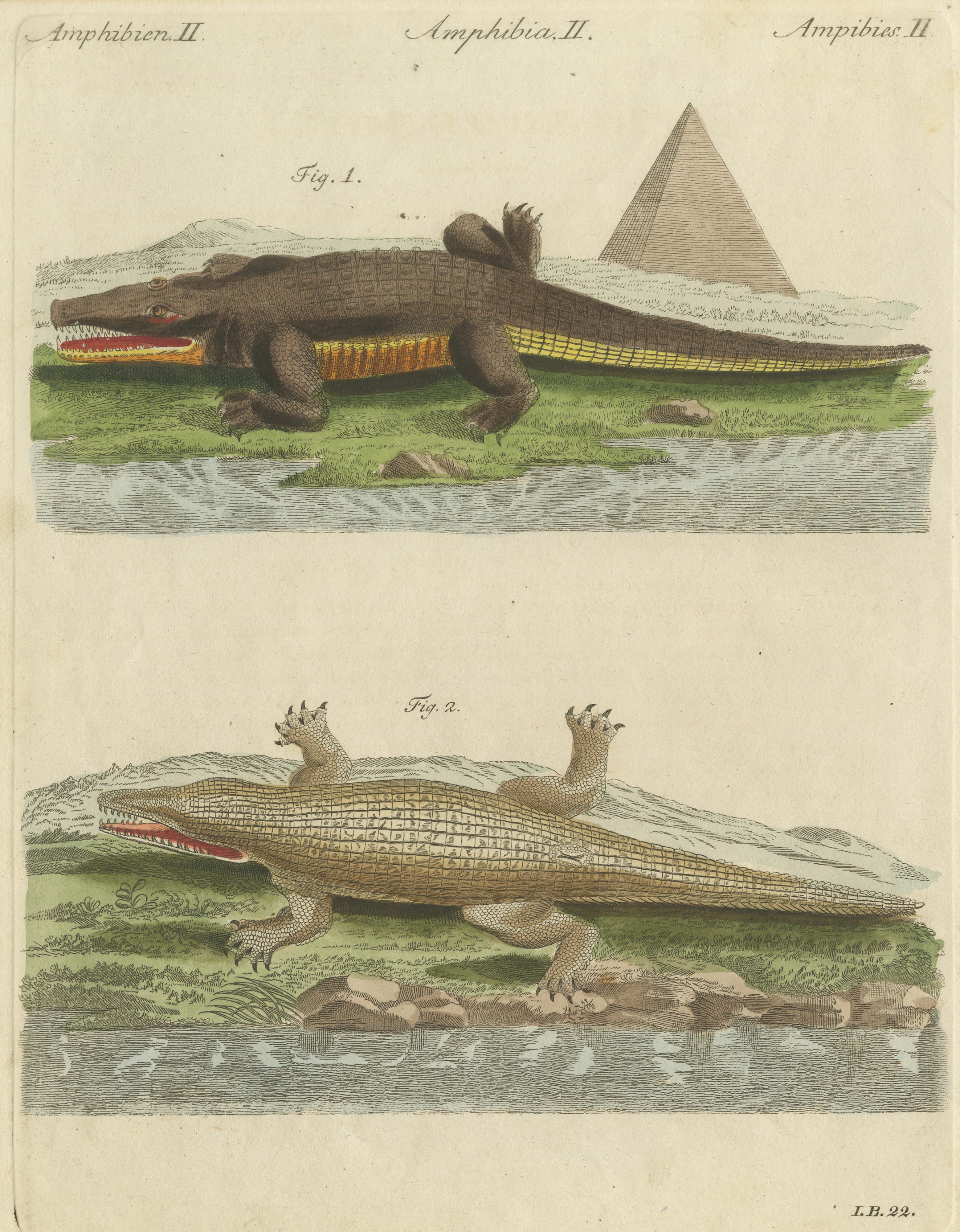 Crocodiles with an Egyptian Pyramid, Antique Bertuch Print, Vienna, circa 1805