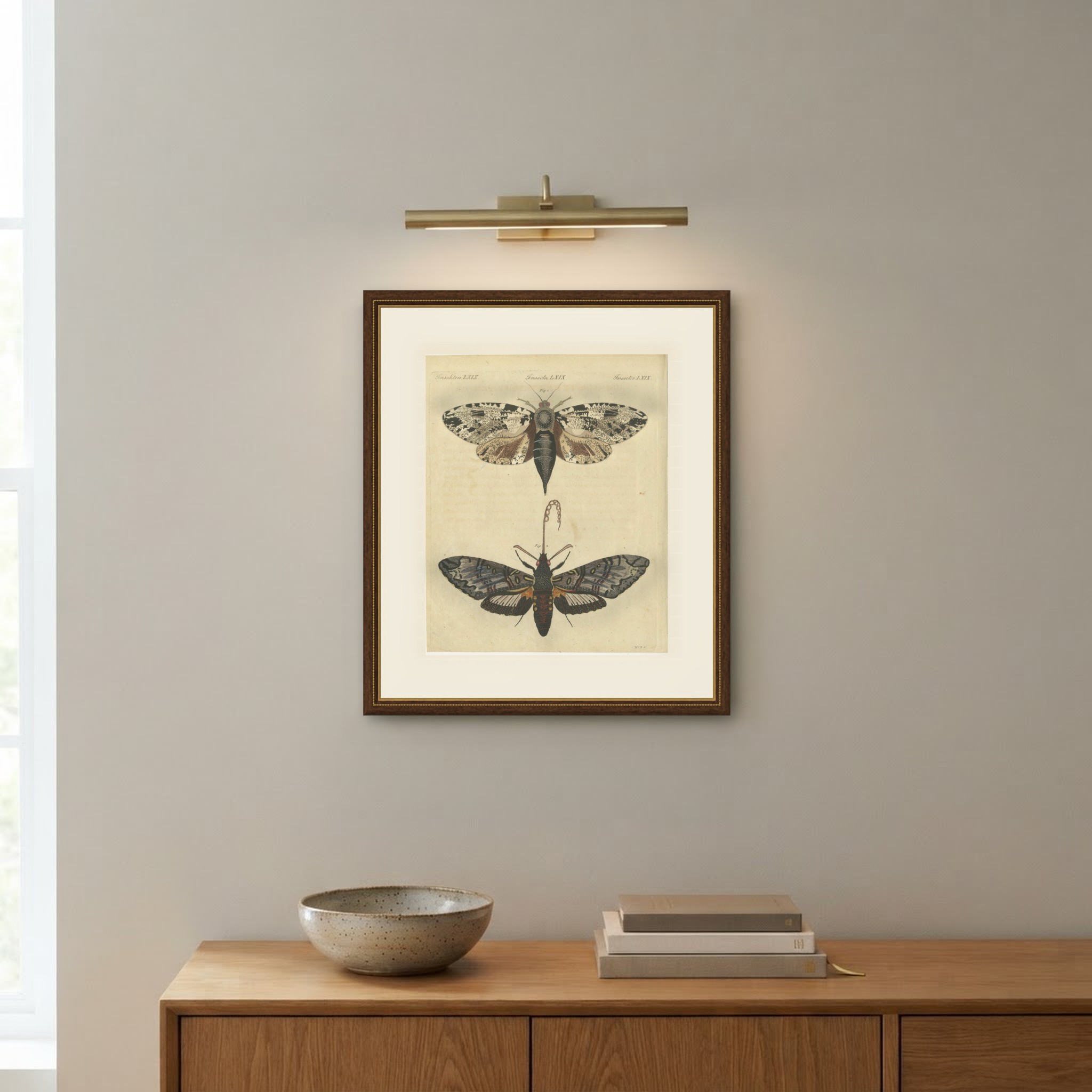 Two Large Exotic Moths, Antique Bertuch Print, circa 1815, view 10