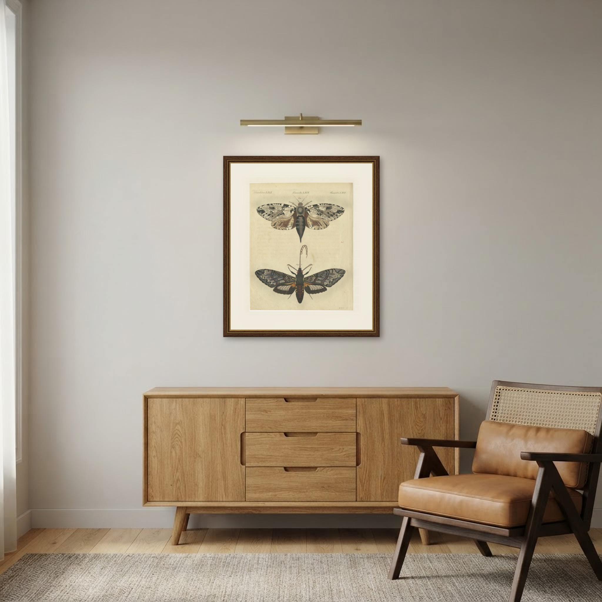 Two Large Exotic Moths, Antique Bertuch Print, circa 1815, view 11