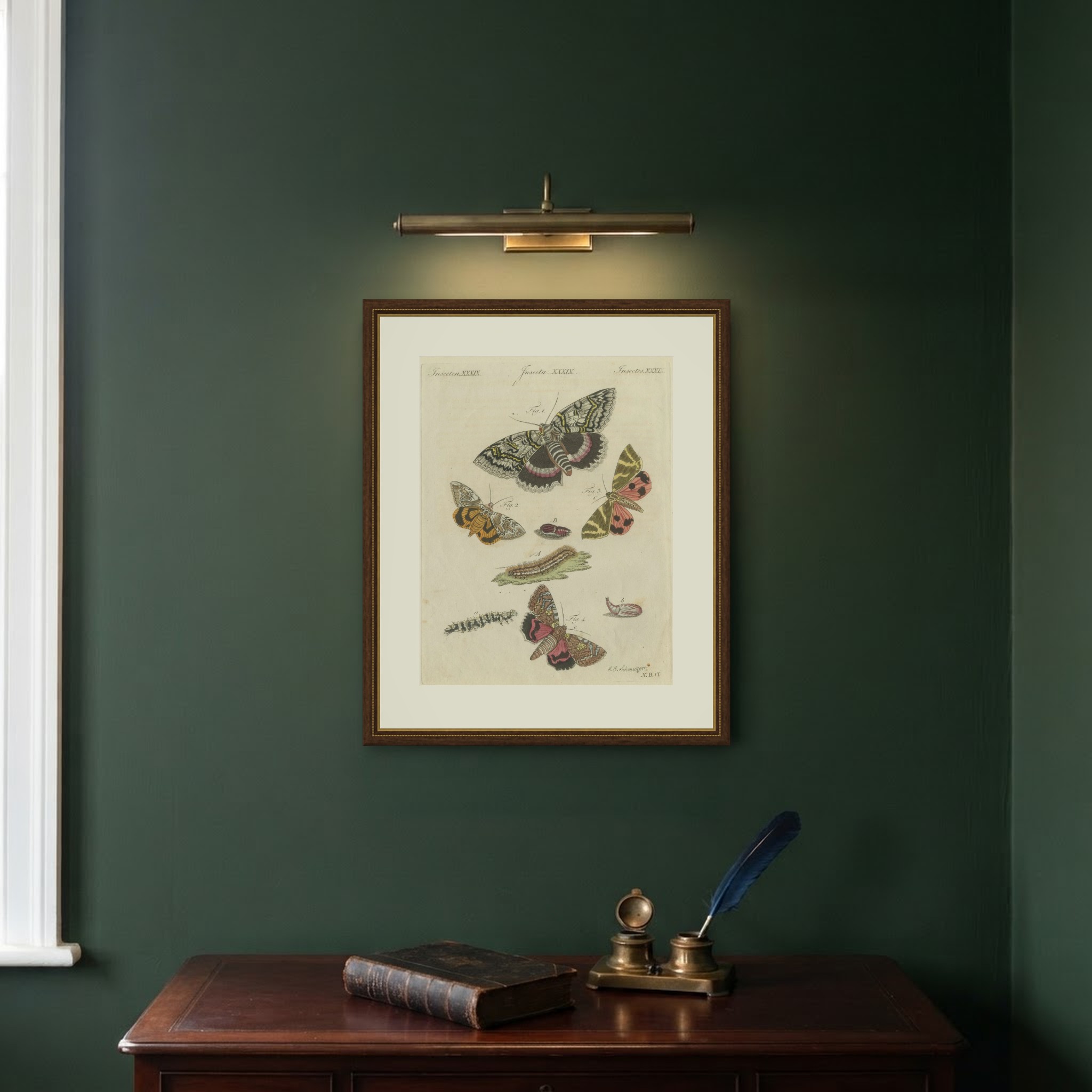 Underwing and Tiger Moths with Caterpillars, Antique Bertuch Print, circa 1805, view 10