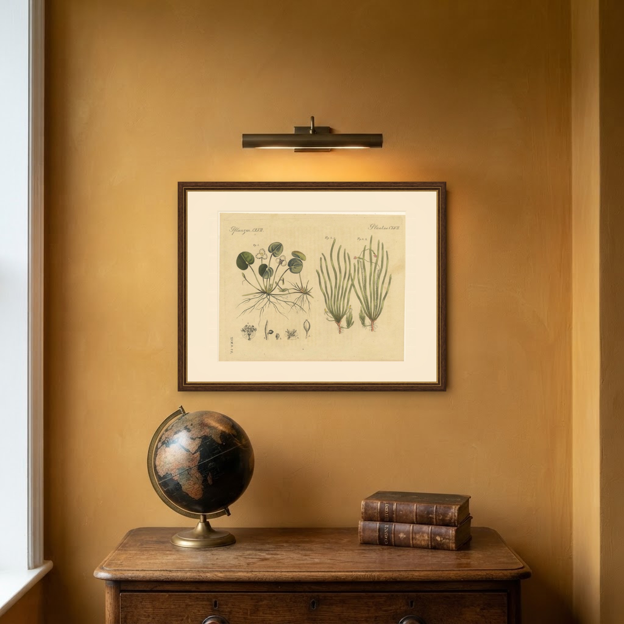 Frogbit and Spiral Tape Grass Water Plants, Antique Bertuch Print, circa 1818, view 11