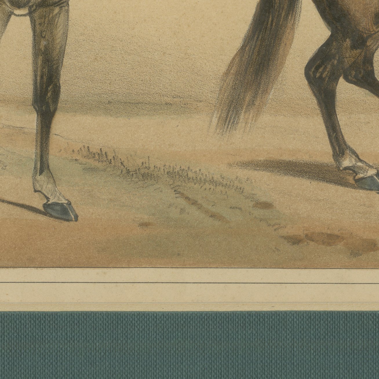 Spanish Cavalry Lithograph by José Rubio y Villegas: Cuirassier and Lancer, 1861, view 8