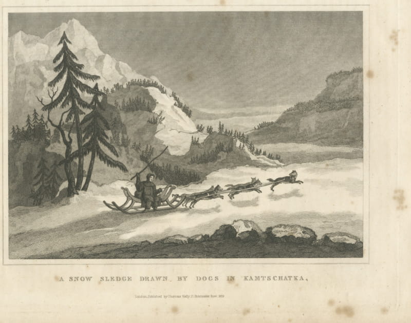 Snow Sledge Drawn by Dogs in Kamchatka, Russia, Antique Engraving, 1829