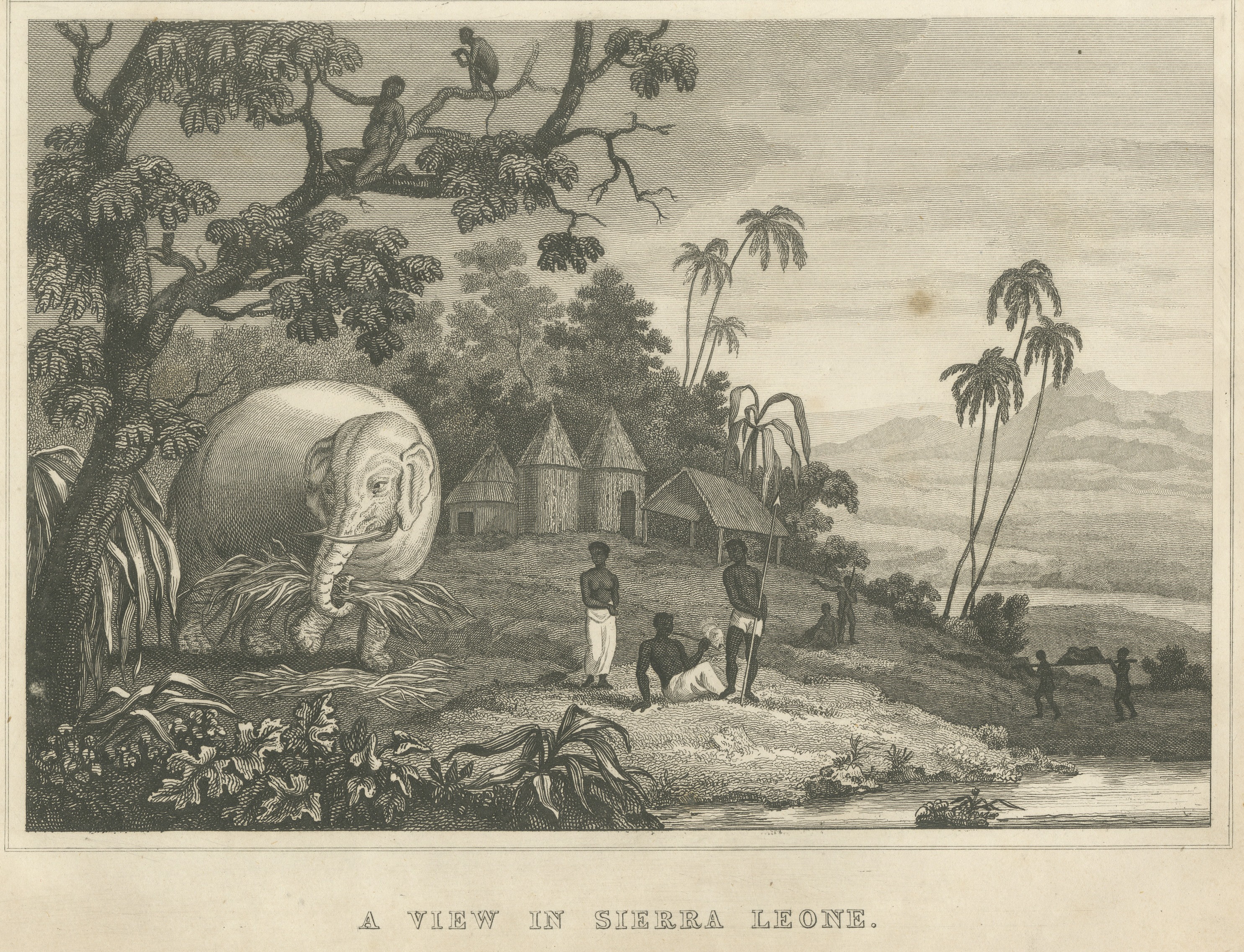 View in Sierra Leone, West Africa, Elephant, Antique Engraving, circa 1825