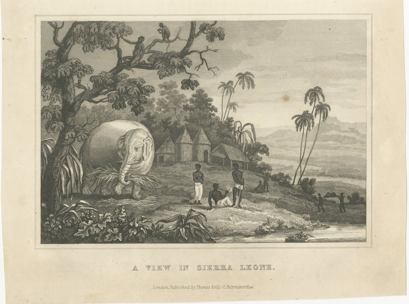 View in Sierra Leone, West Africa, Elephant, Antique Engraving, circa 1825