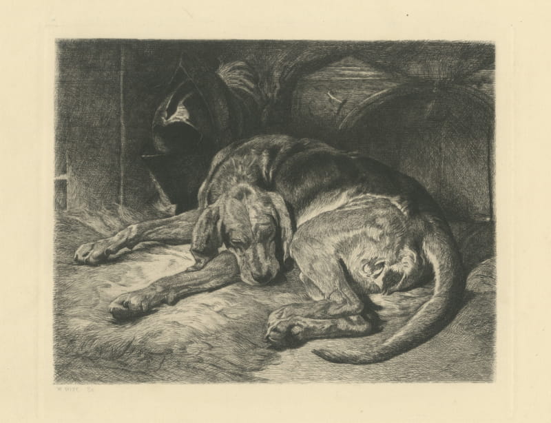 Sleeping Hound with a Plumed Helmet, Antique Etching by W. Wise, circa 1880