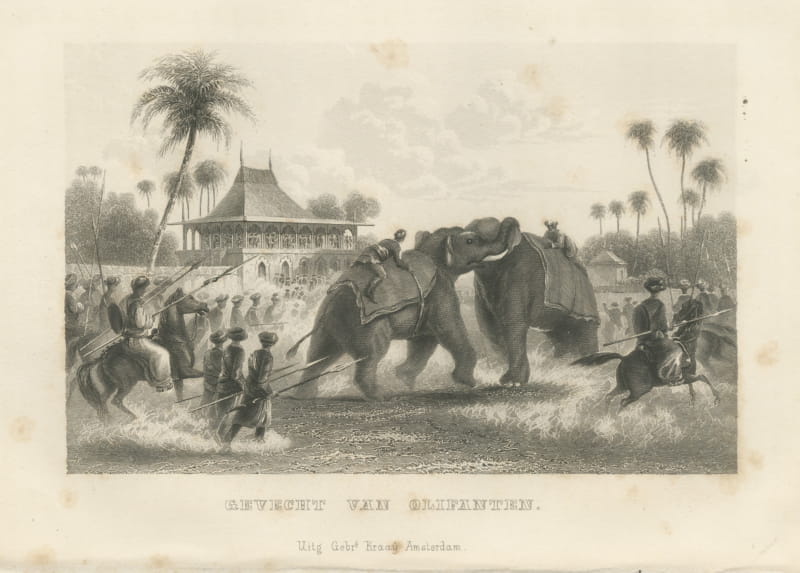 Elephant Fight in India, Spearmen and Horsemen, Antique Engraving, 1859