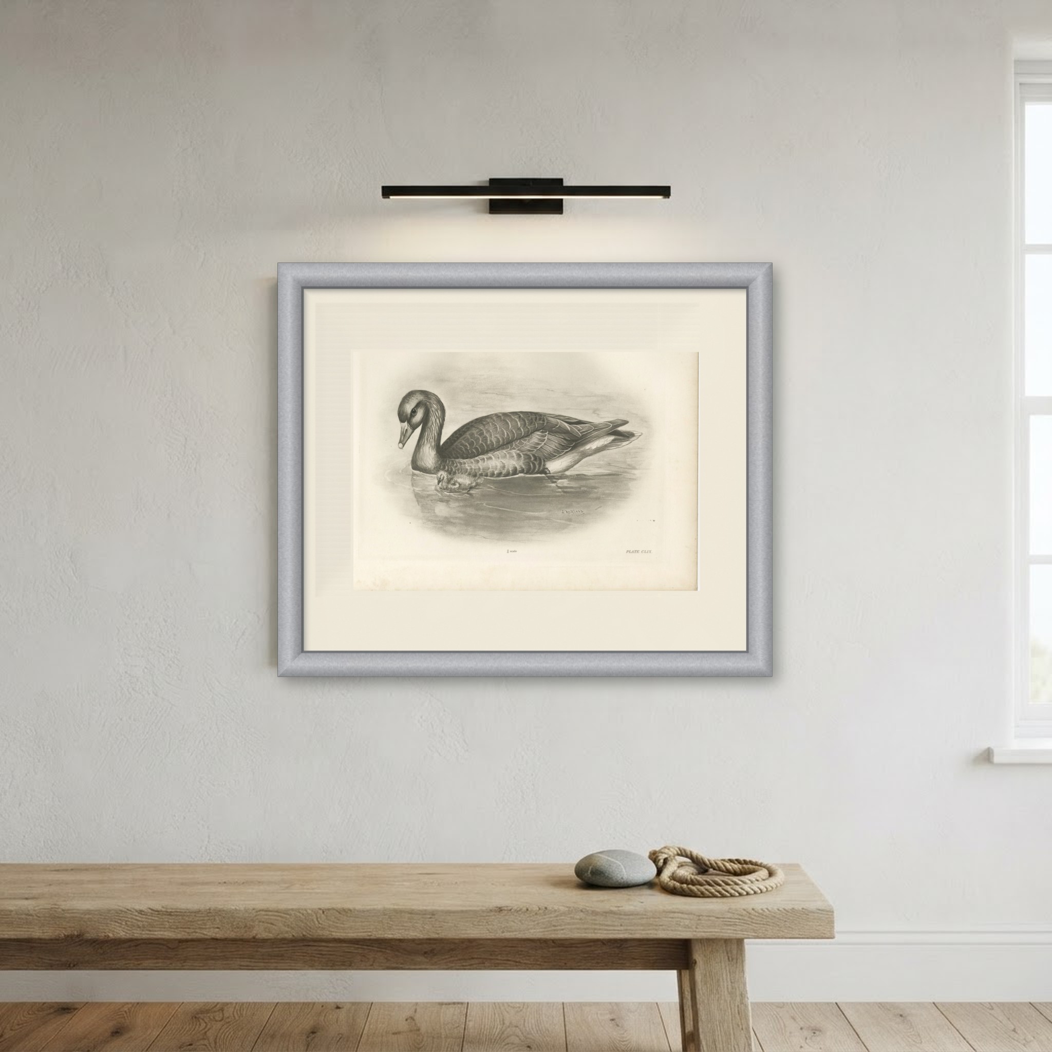Wild Geese on the Water, Antique Bird Print after Lilian Medland, circa 1909, view 5