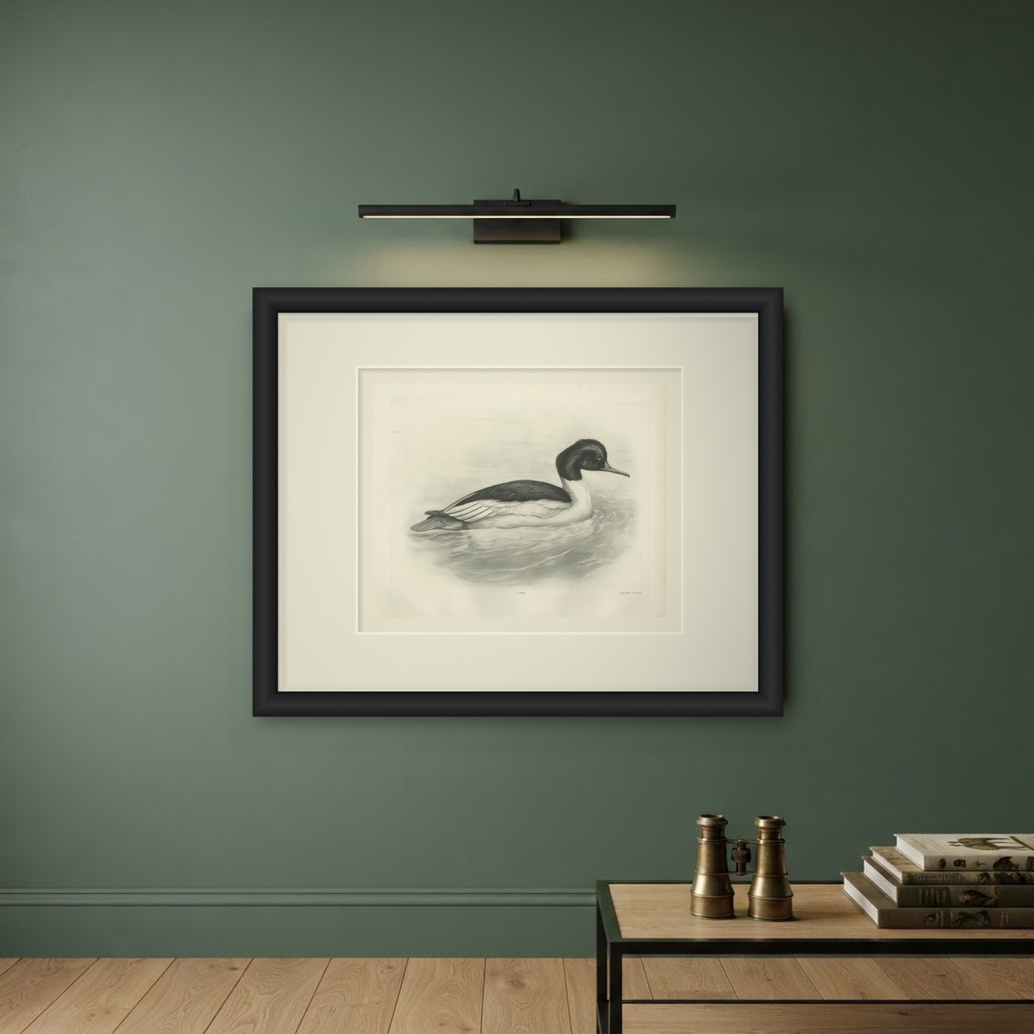 Goosander Drake Swimming, Plate CXCI after Lilian Medland, c. 1909