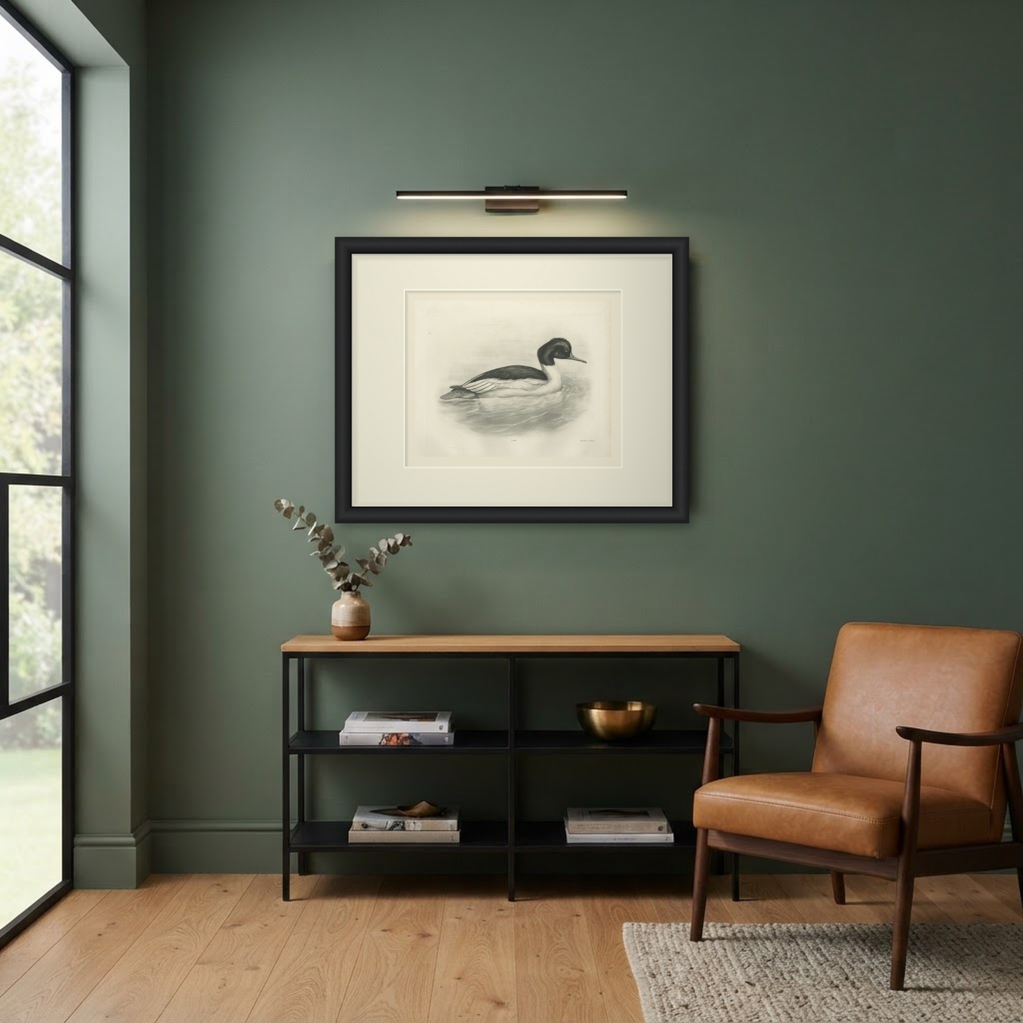 Goosander Drake Swimming, Plate CXCI after Lilian Medland, c. 1909