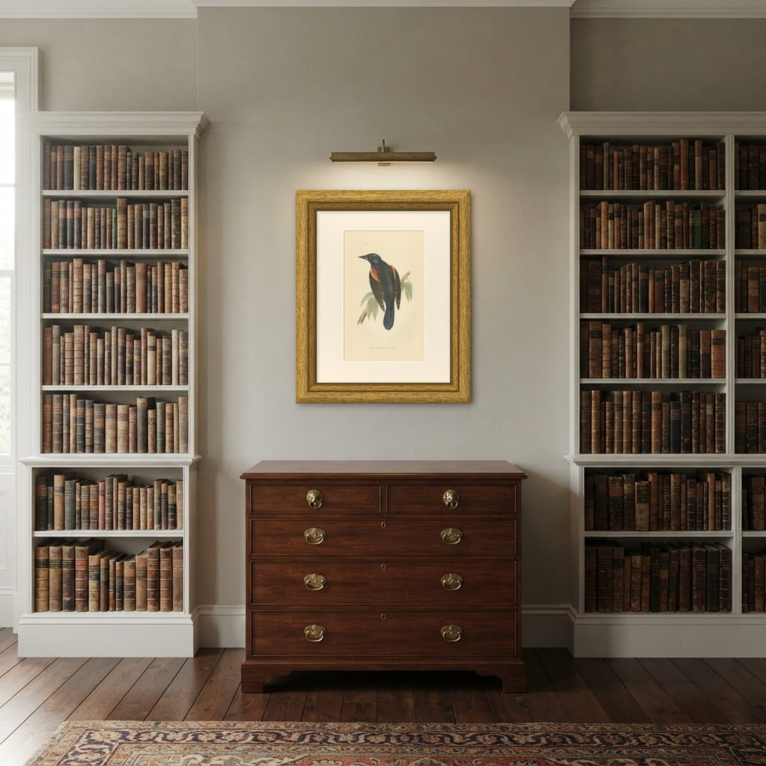 Red Winged Starling or Red Winged Blackbird, Morris Bird Print, 1896