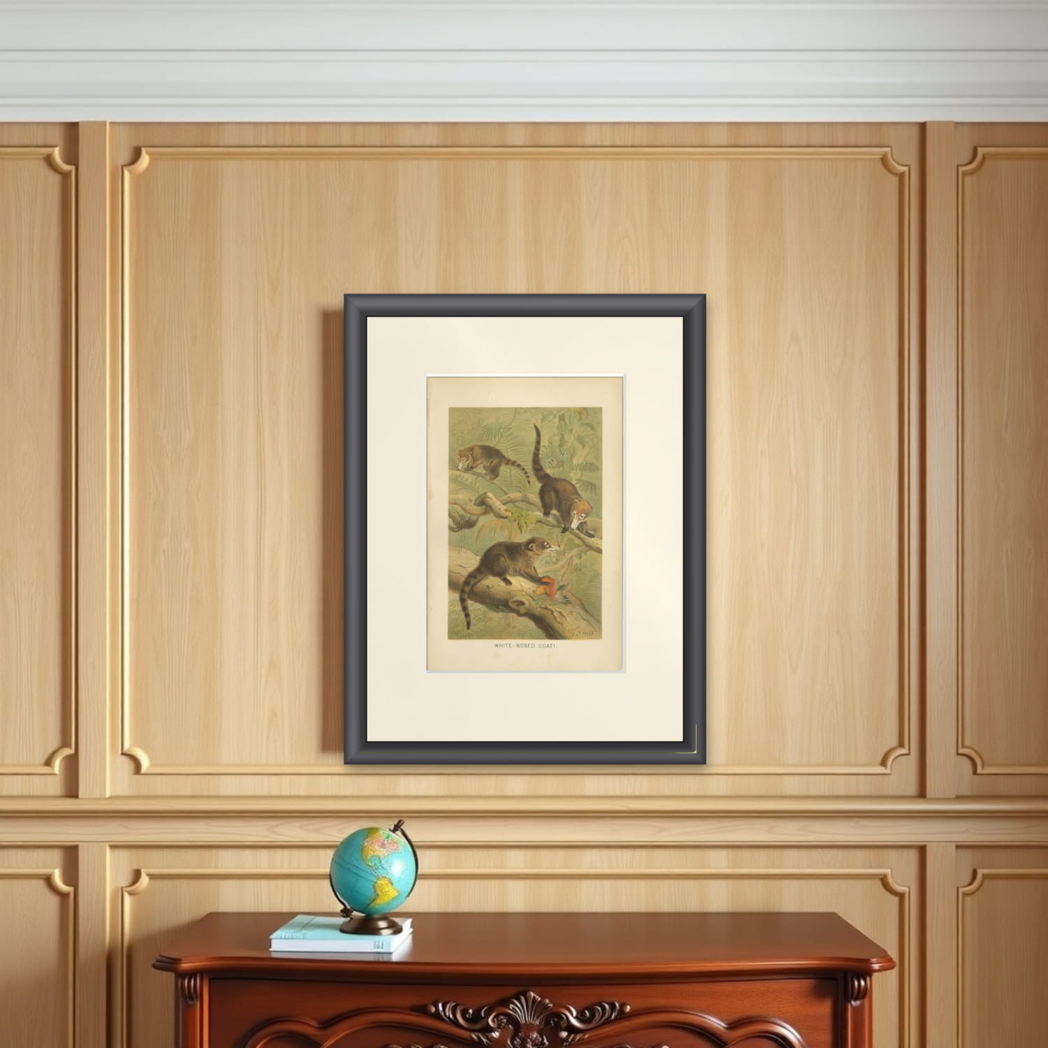 White-Nosed Coati – Antique Tropical Animal Chromolithograph, 1894