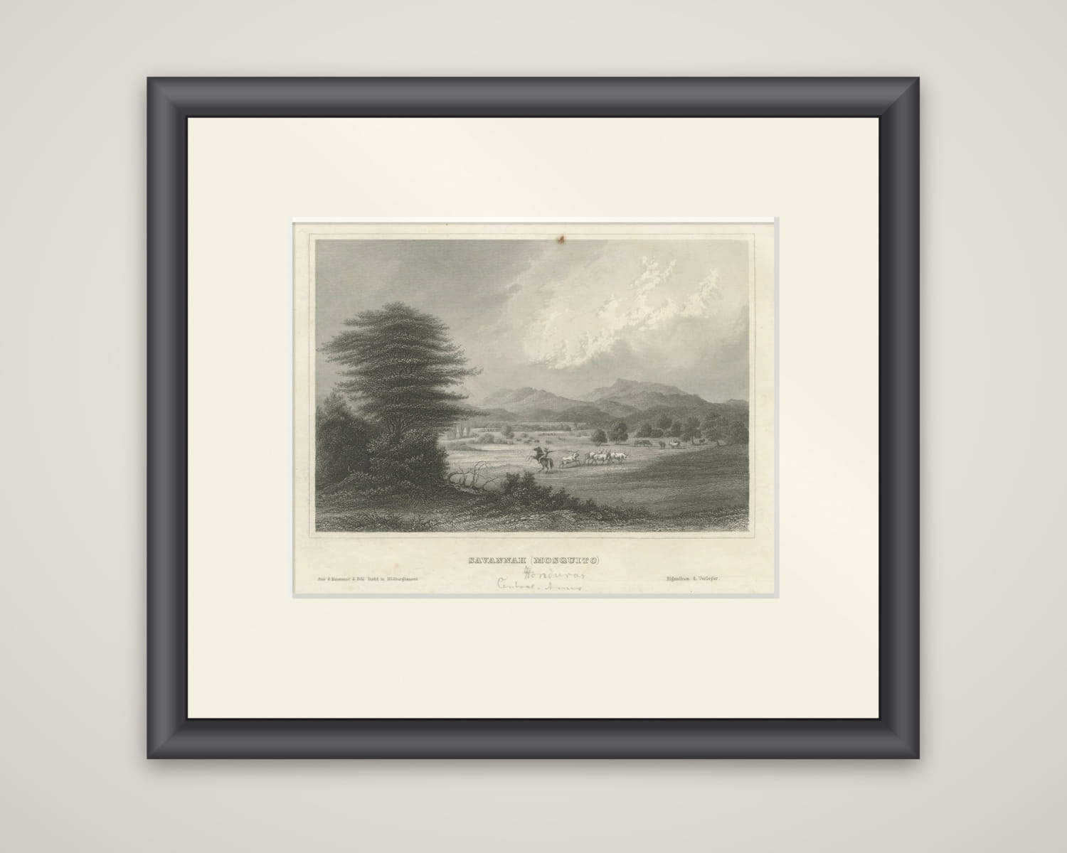 Savannah (Mosquito), Honduras – Antique Engraving, Central America, c.1850