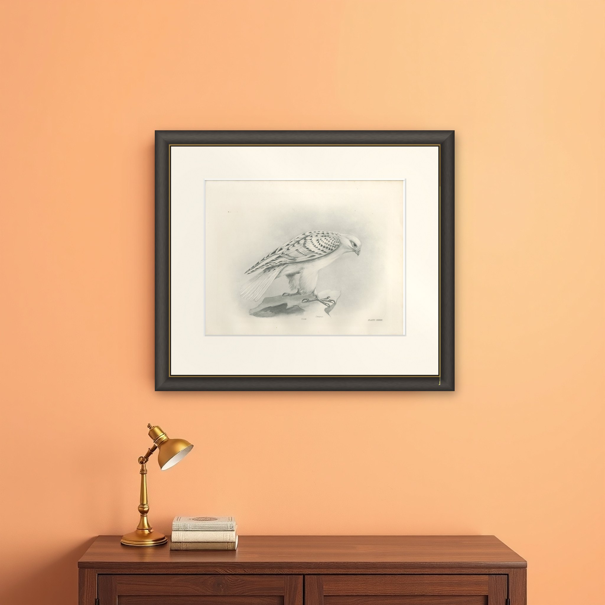 Antique Greenland Gyrfalcon Bird Print by Lilian M. Medland, circa 1908