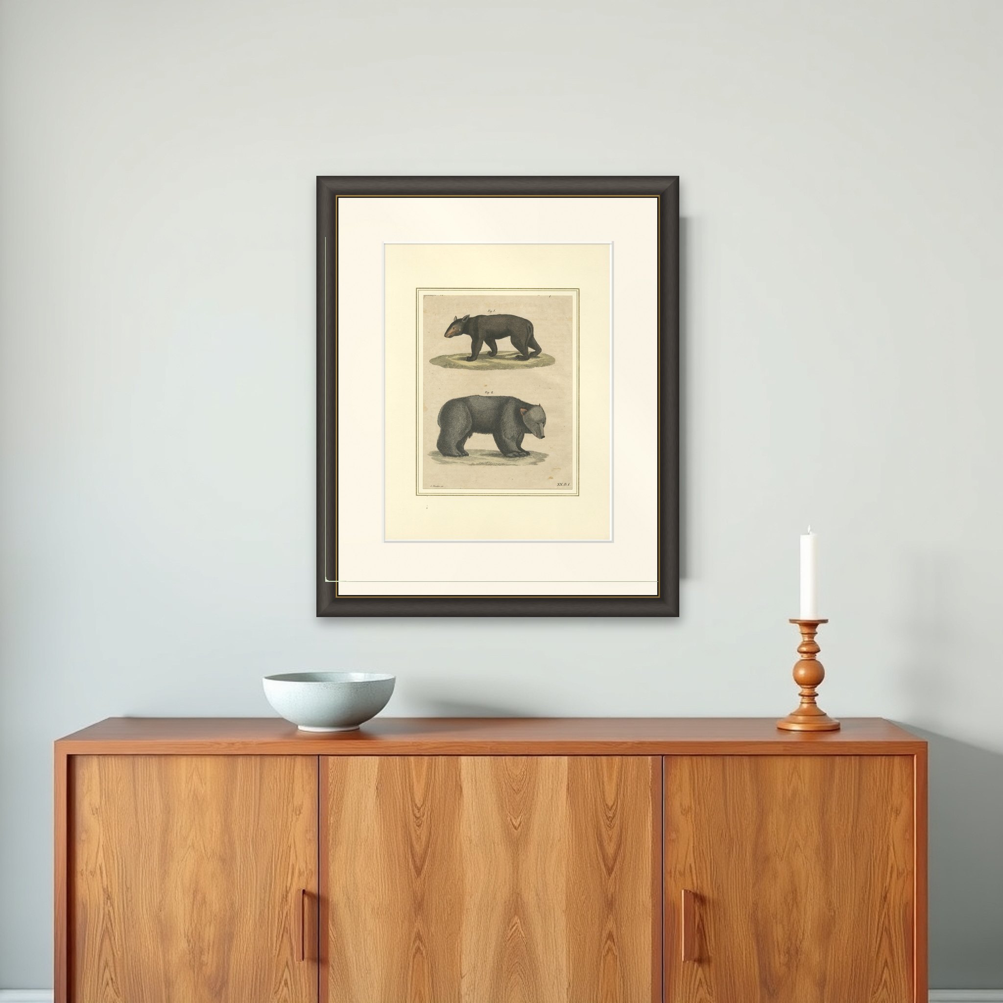 Antique Tapir & Bear Zoological Engraving – Bertuch, c. 1800