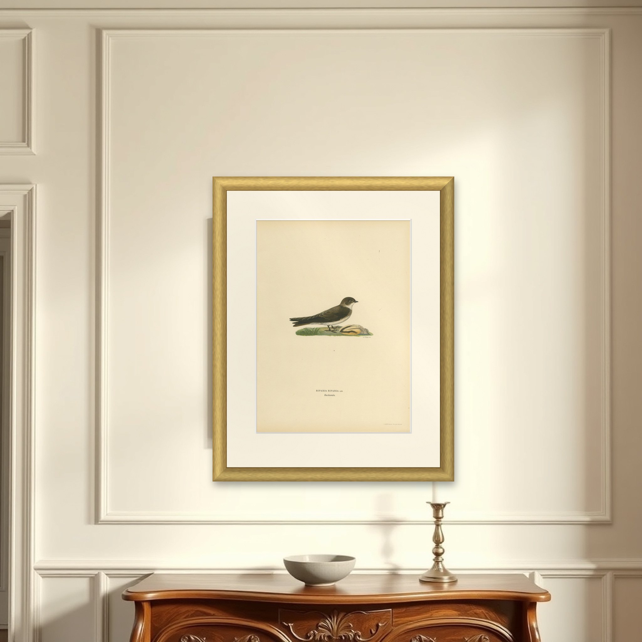 Riparia Riparia - Hand-colored Sand Martin Lithograph by M. von Wright, 1927