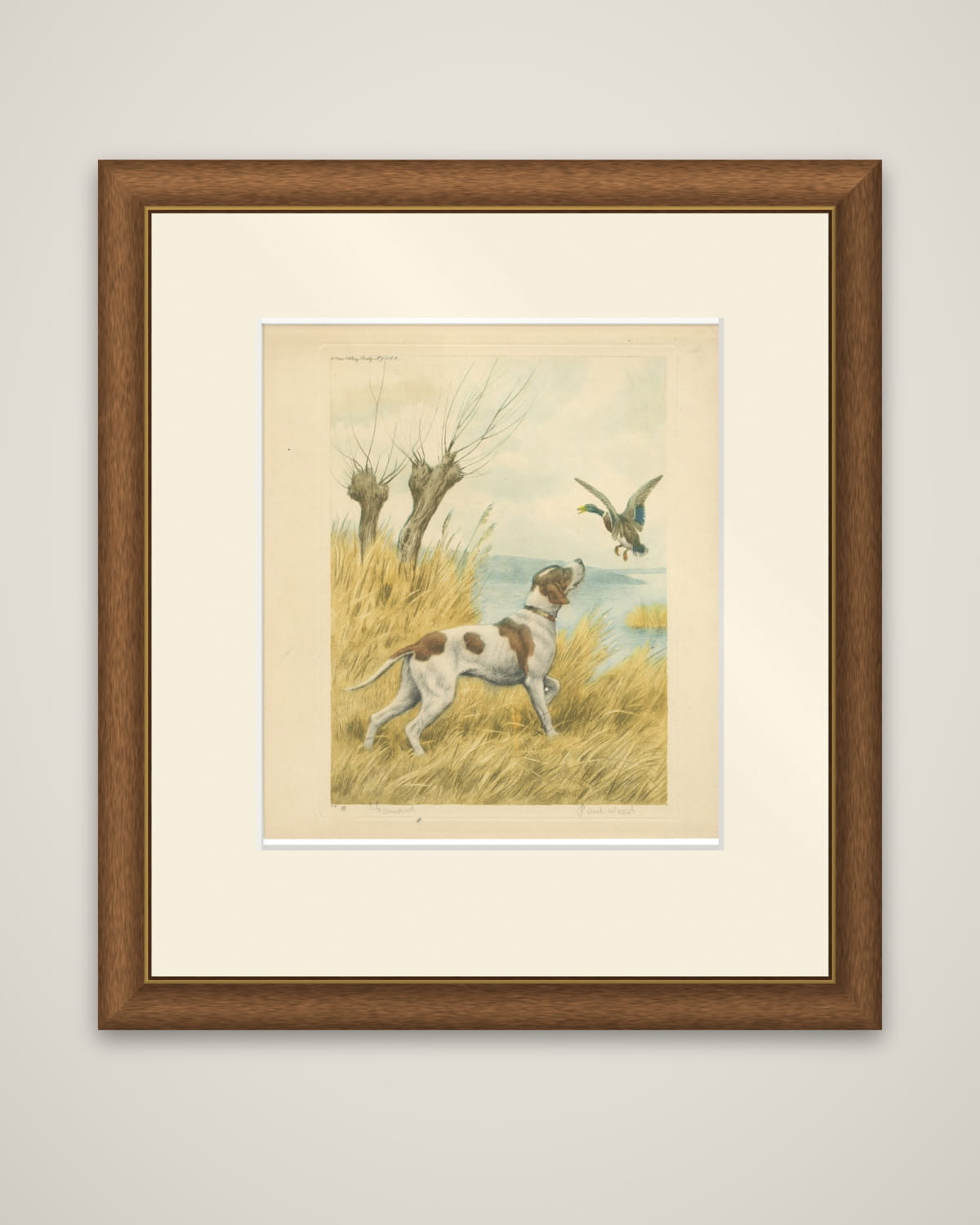 Vintage Hunting Dog Lithograph “Pointer & Mallard” by Paul Wood – New York, 1930