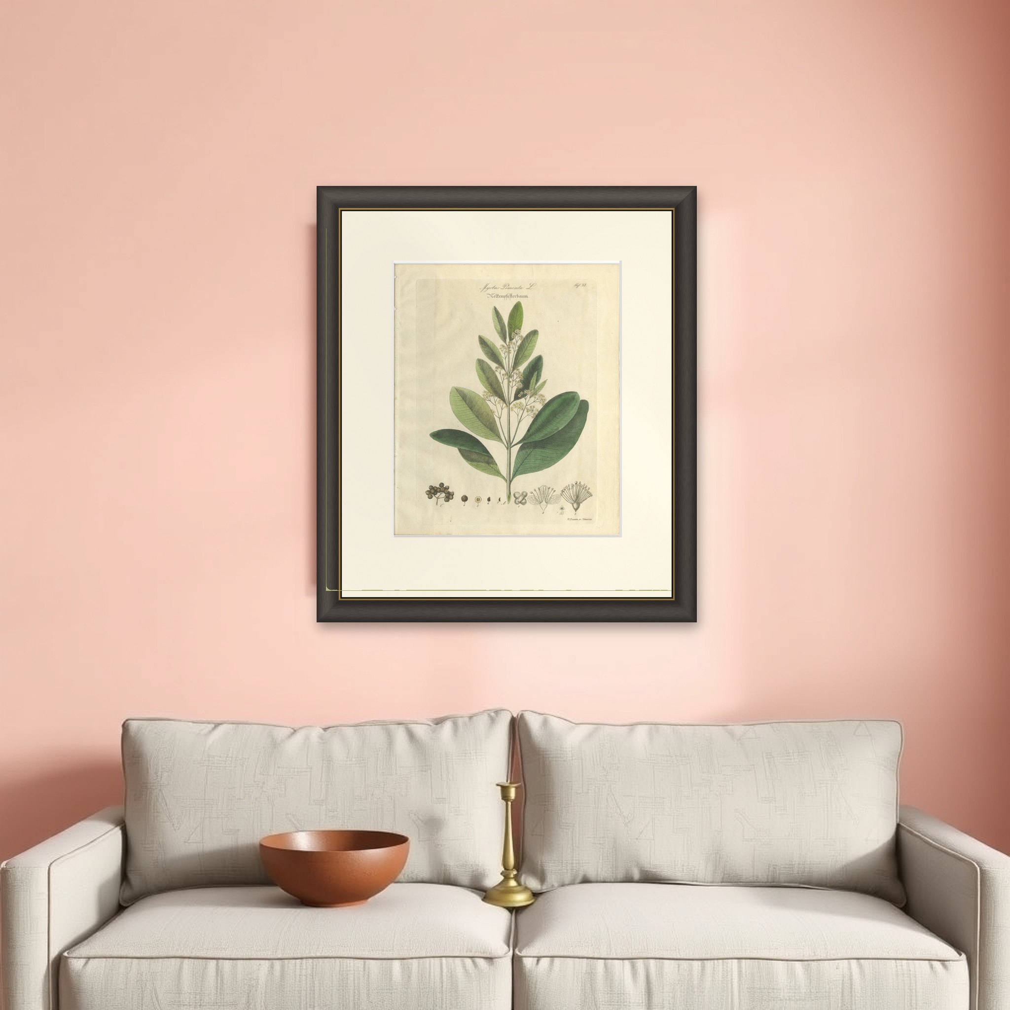 Antique Allspice Botanical Print, Myrtus Pimenta, Hand Colored, c.1831
