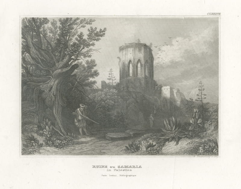 Antique View of the Ruins of Samaria, Holy Land Engraving, circa 1850