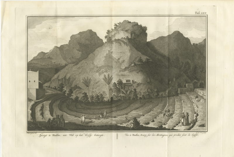 View at Hadie in the Yemen Coffee Mountains, Antique Print, 1776