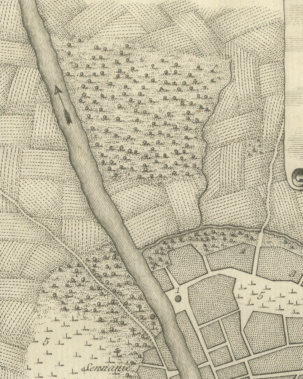 Antique Plan of the City of Damietta on the Nile, Niebuhr, 1776