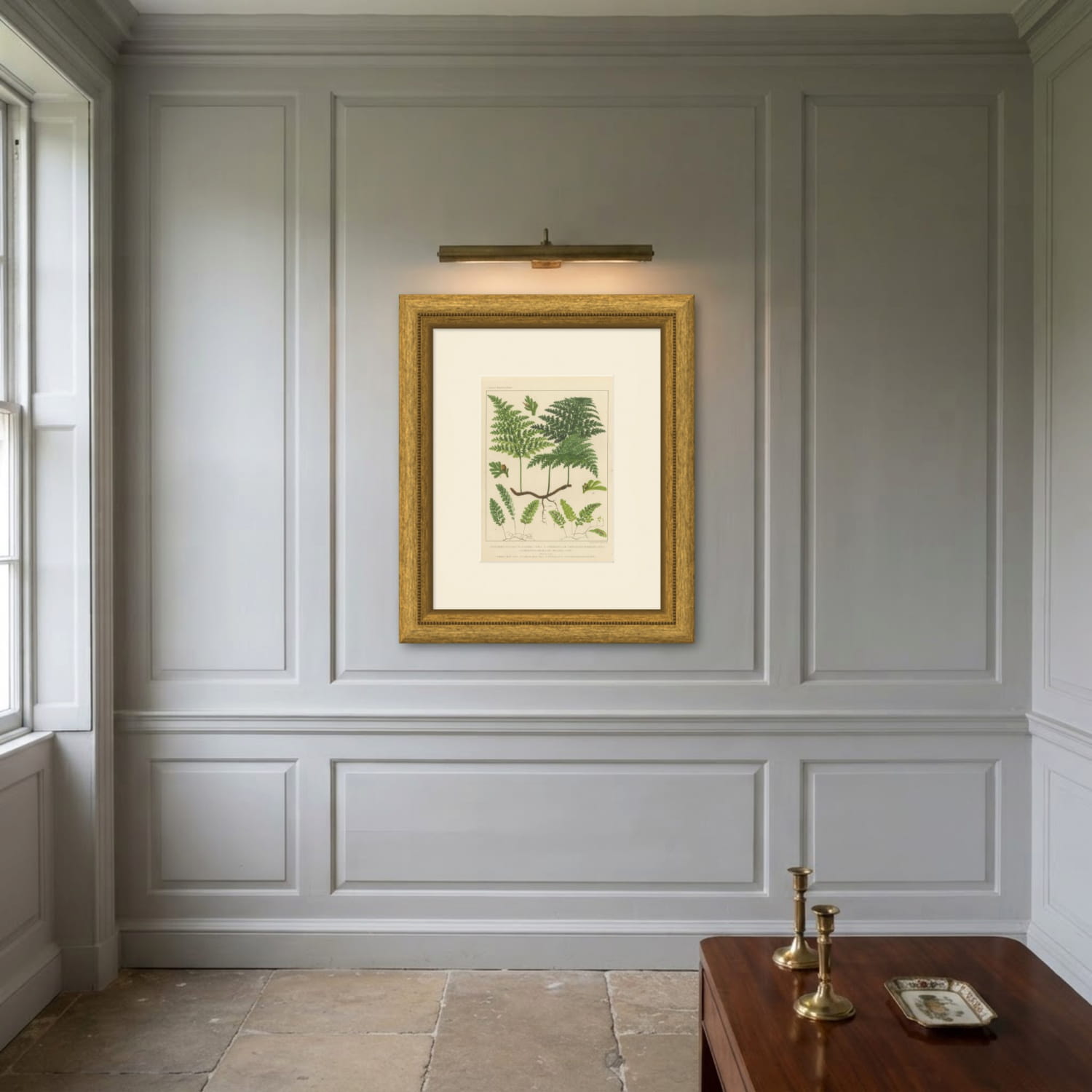 Antique Chromolithograph of the Killarney Fern and Filmy Ferns, circa 1885