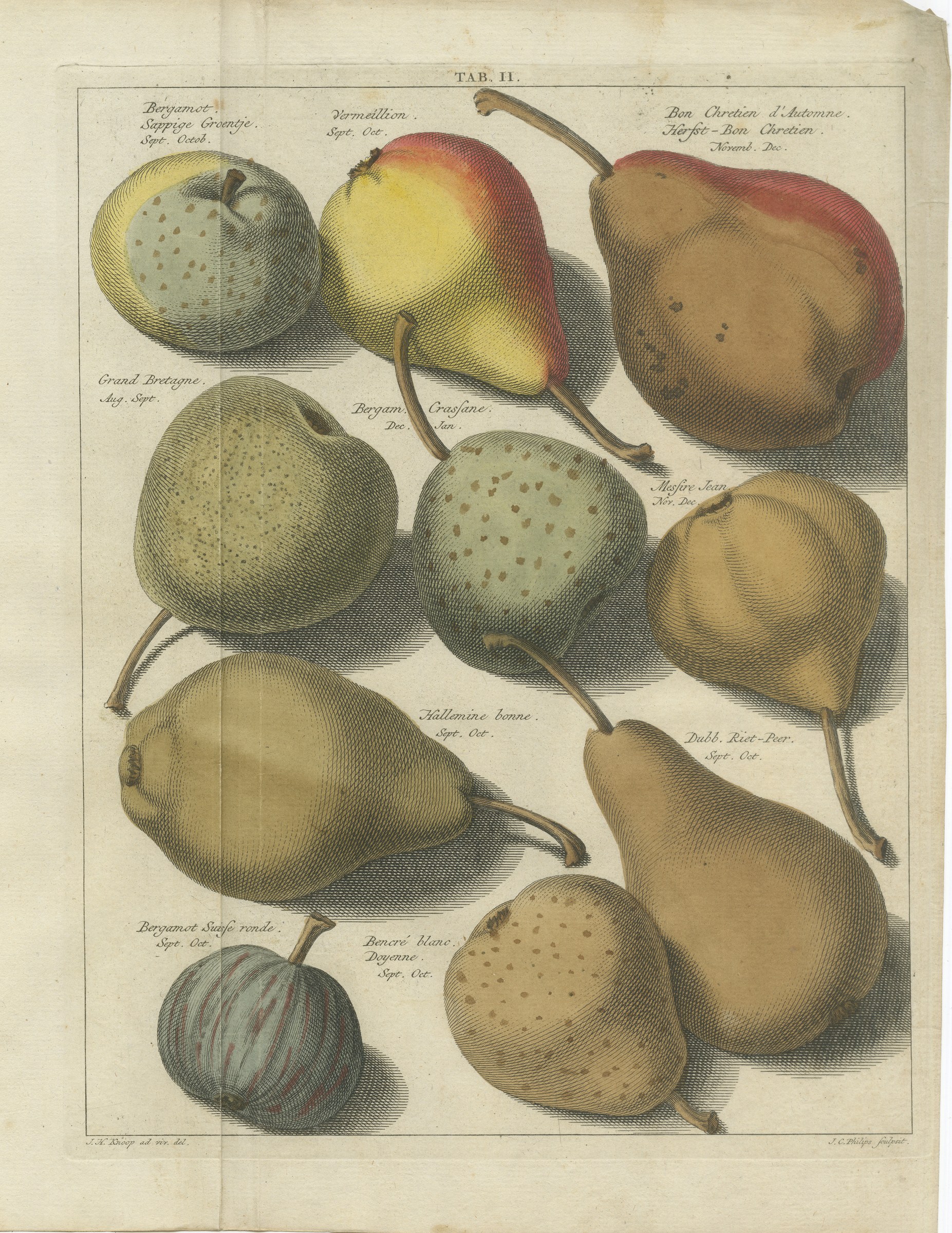 Antique Pear Plate with Bon Chretien and Doyenne, Knoop, 1790