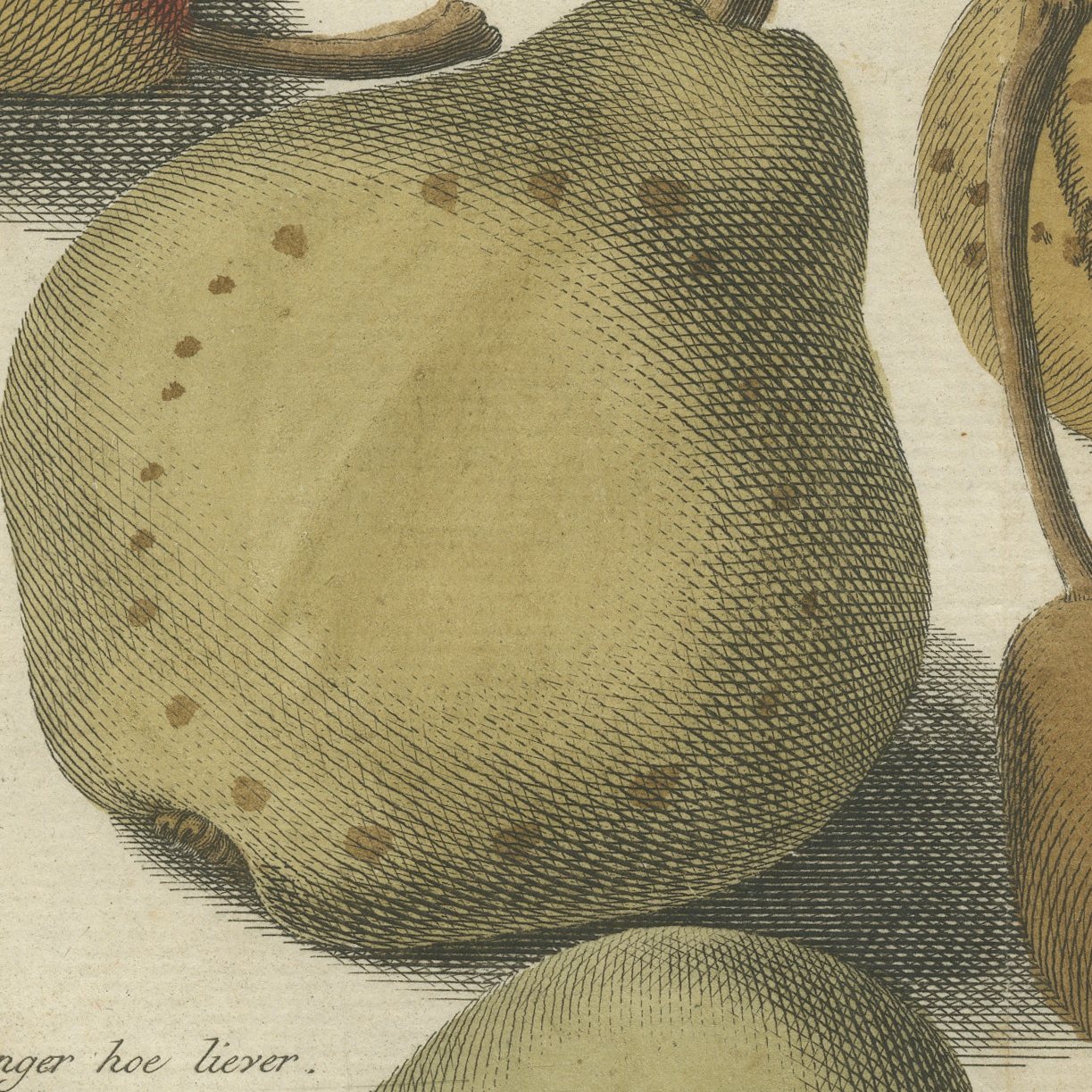 Hoe langer hoe liever: Antique Hand-Colored Dutch Pear Plate, 1790