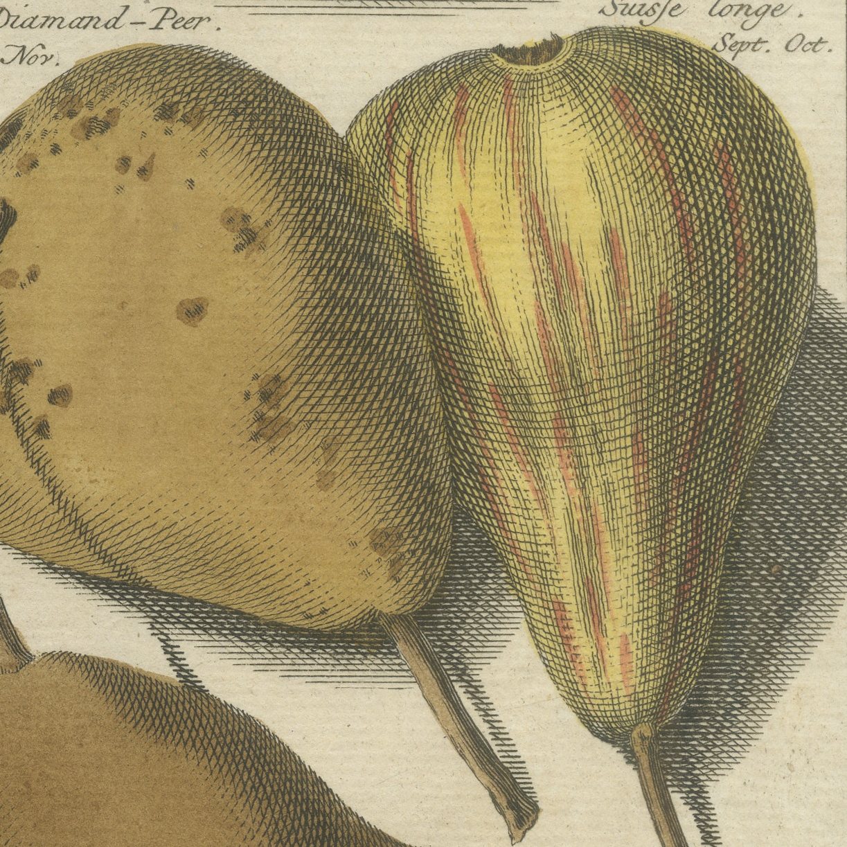 Hoe langer hoe liever: Antique Hand-Colored Dutch Pear Plate, 1790
