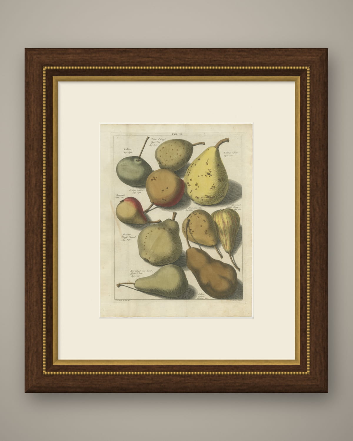 Hoe langer hoe liever: Antique Hand-Colored Dutch Pear Plate, 1790