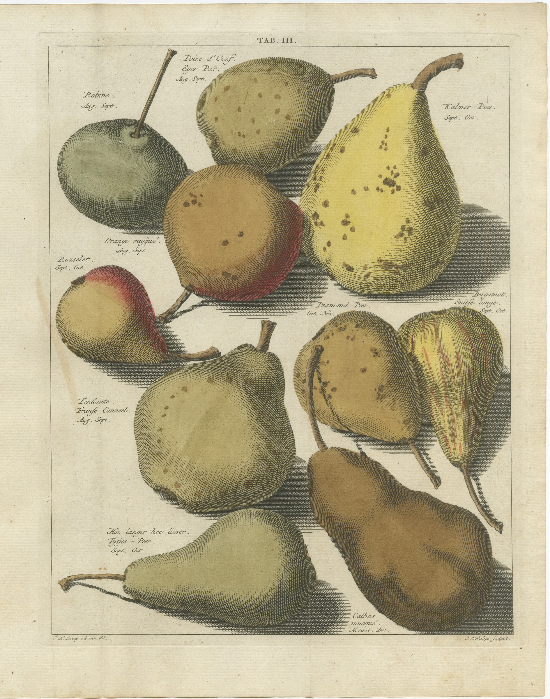 Hoe langer hoe liever: Antique Hand-Colored Dutch Pear Plate, 1790
