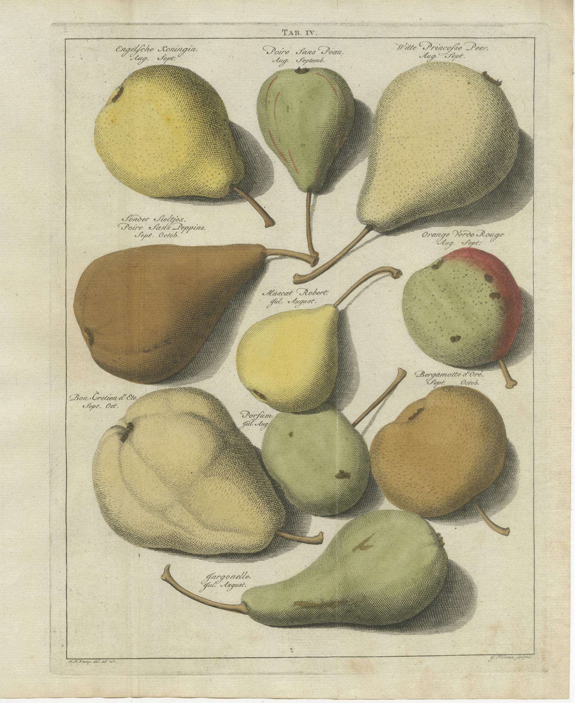 Sonder Sieltjes, the Seedless Pear, Antique Knoop Plate, 1790