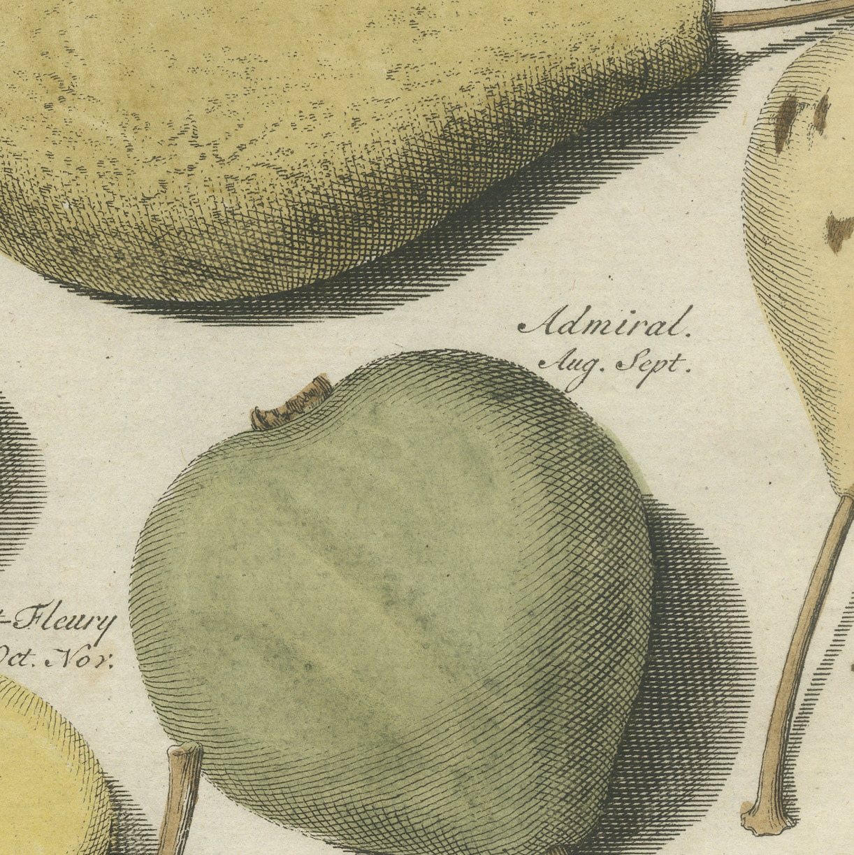 Cuisse Madame and Chair à Dame, Antique Dutch Pear Engraving, 1790