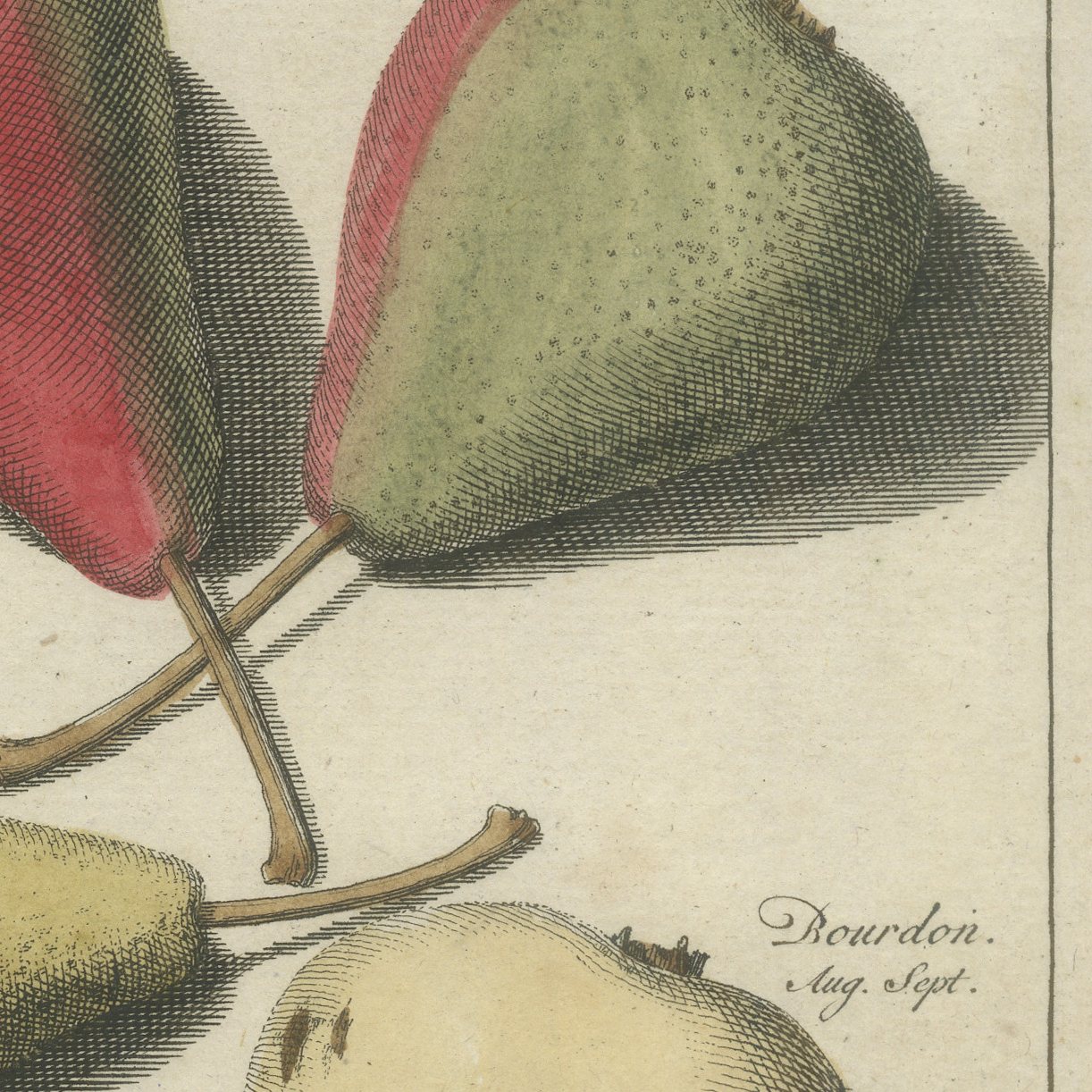 Cuisse Madame and Chair à Dame, Antique Dutch Pear Engraving, 1790