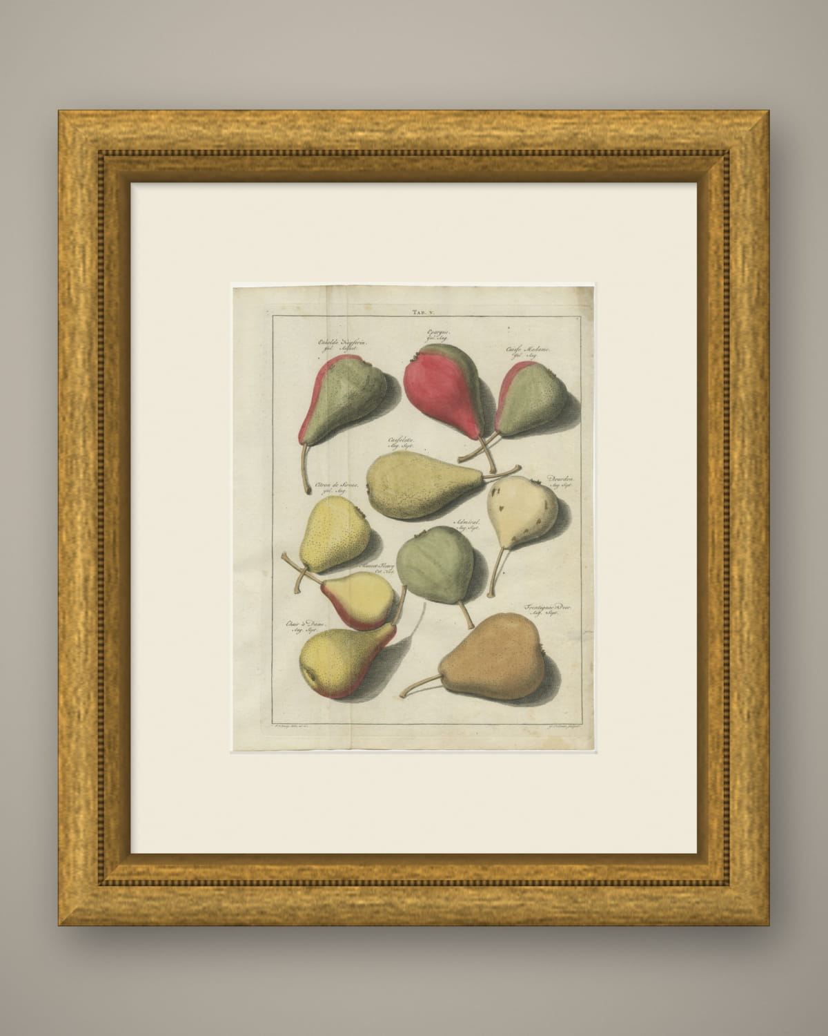 Cuisse Madame and Chair à Dame, Antique Dutch Pear Engraving, 1790