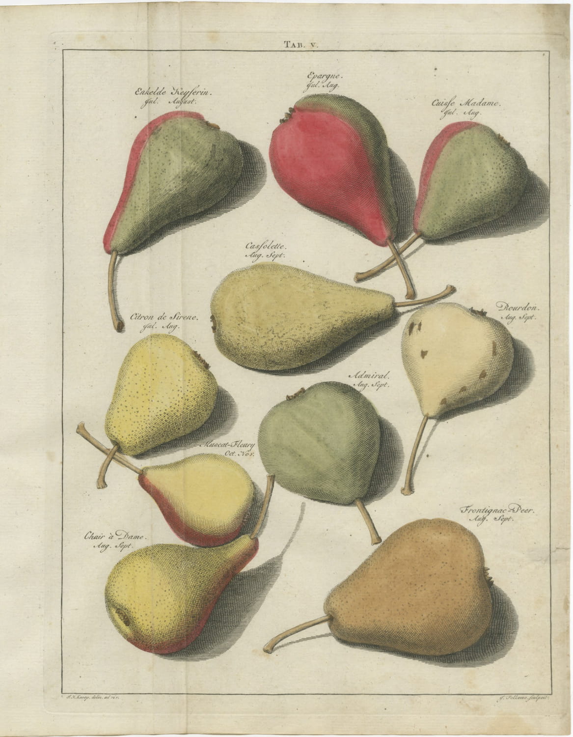 Cuisse Madame and Chair à Dame, Antique Dutch Pear Engraving, 1790