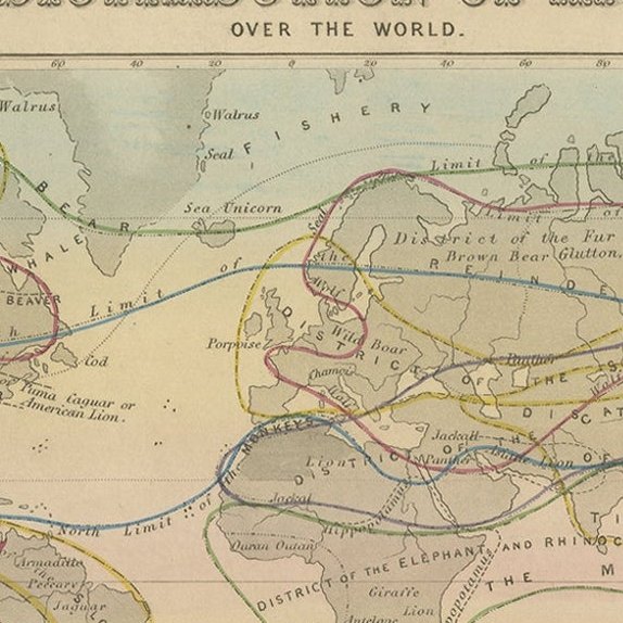 Antique Zoological Map, 1843