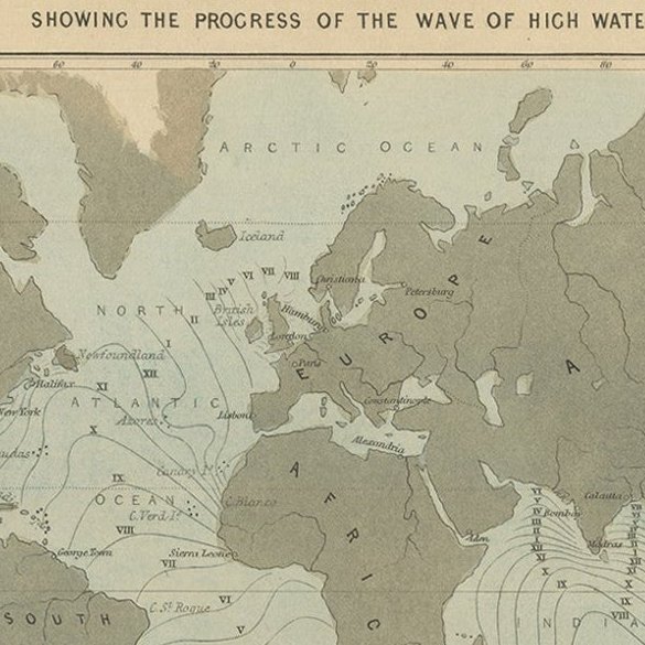 Antique Tidal Chart and Botanical Map, 1843