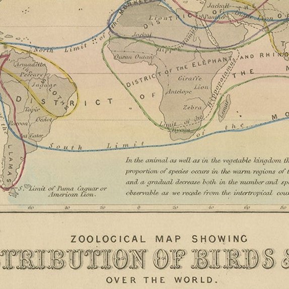 Antique Zoological Map, 1843