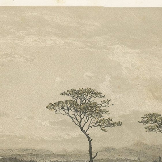 Decorative Antique Print of Nice Near Mont Boron in France, c.1865